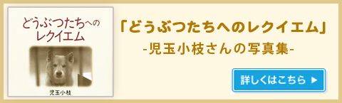 どうぶつたちへのレクイエム